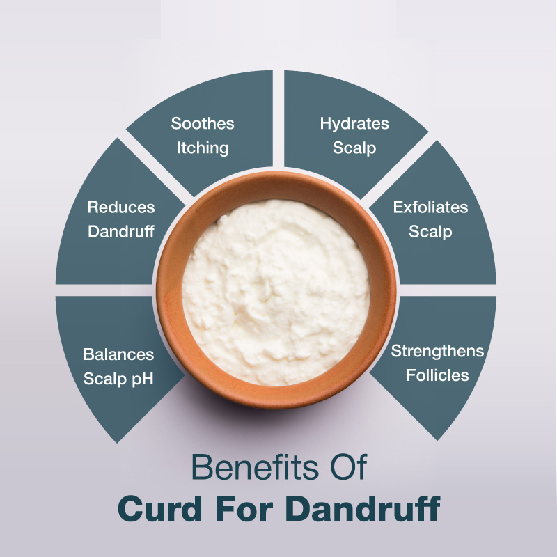 curd for dandruff